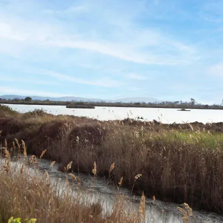 Port De La Gavine-27 By Interhome Hyères